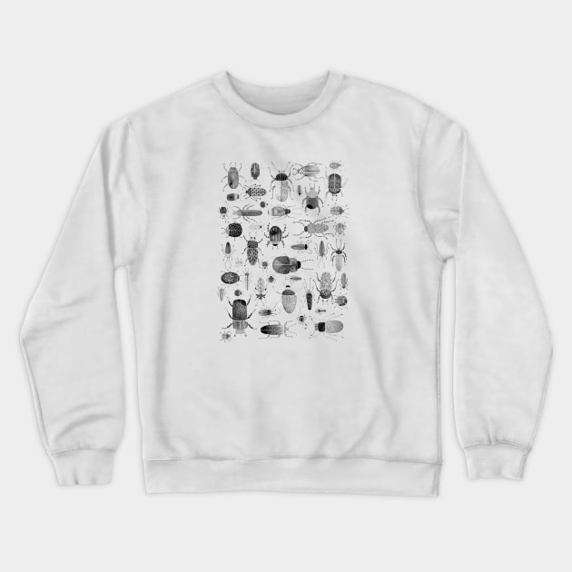 Ink Beetles and Bugs Crewneck Sweatshirt by NicSquirrell